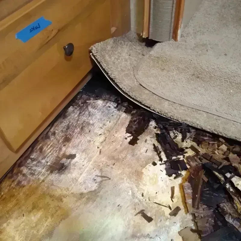 Wood Floor Water Damage in Pewaukee, WI